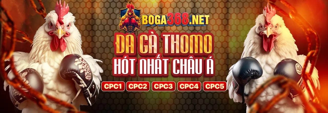 Quyền riêng tư của người dùng theo GDPR